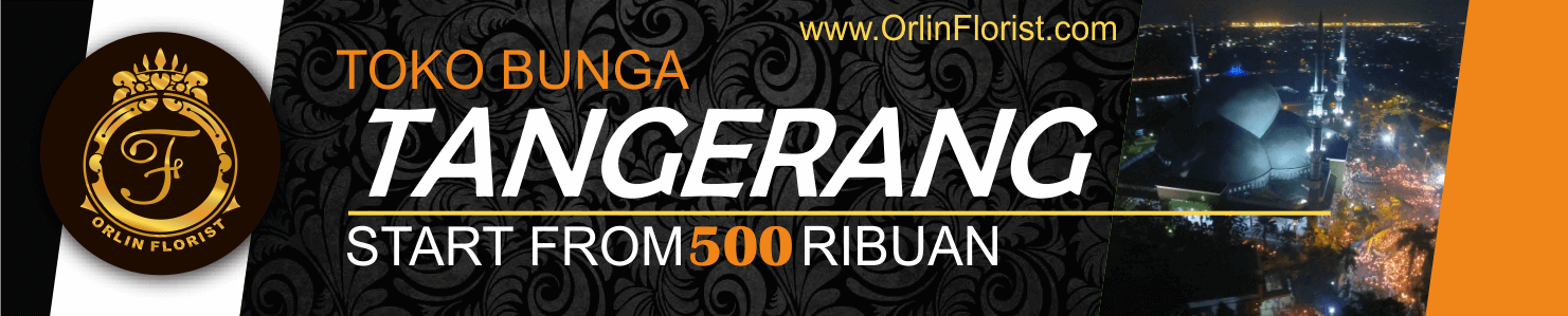 baner kota tgr