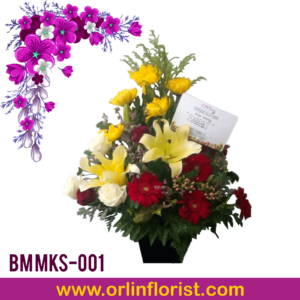 BM MKS-001