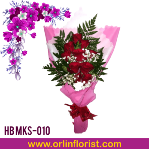 HB MKS-010
