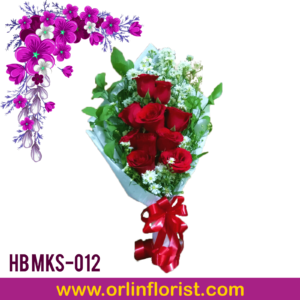 HB MKS-012