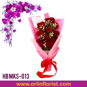 HB MKS-013