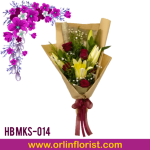 HB MKS-014