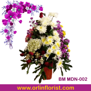 BM MDN-002
