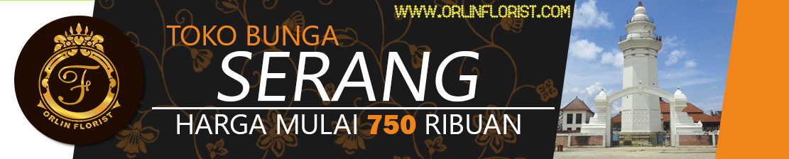 banner web orlin