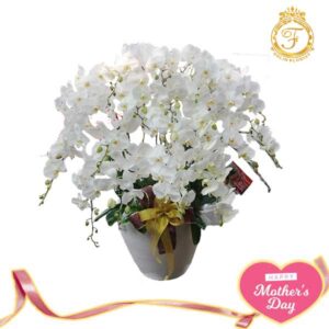 Bunga Anggrek Hari Ibu-004