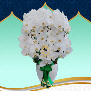 Bunga Anggrek Lebaran AGRL-003