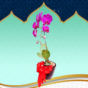 Bunga Anggrek Lebaran AGRL-005