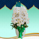 Bunga Anggrek Lebaran AGRL-008